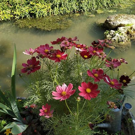 Chambon-sur-Cisse Le Moulin Et L'Olivier Three Bedroom Suite מראה חיצוני תמונה